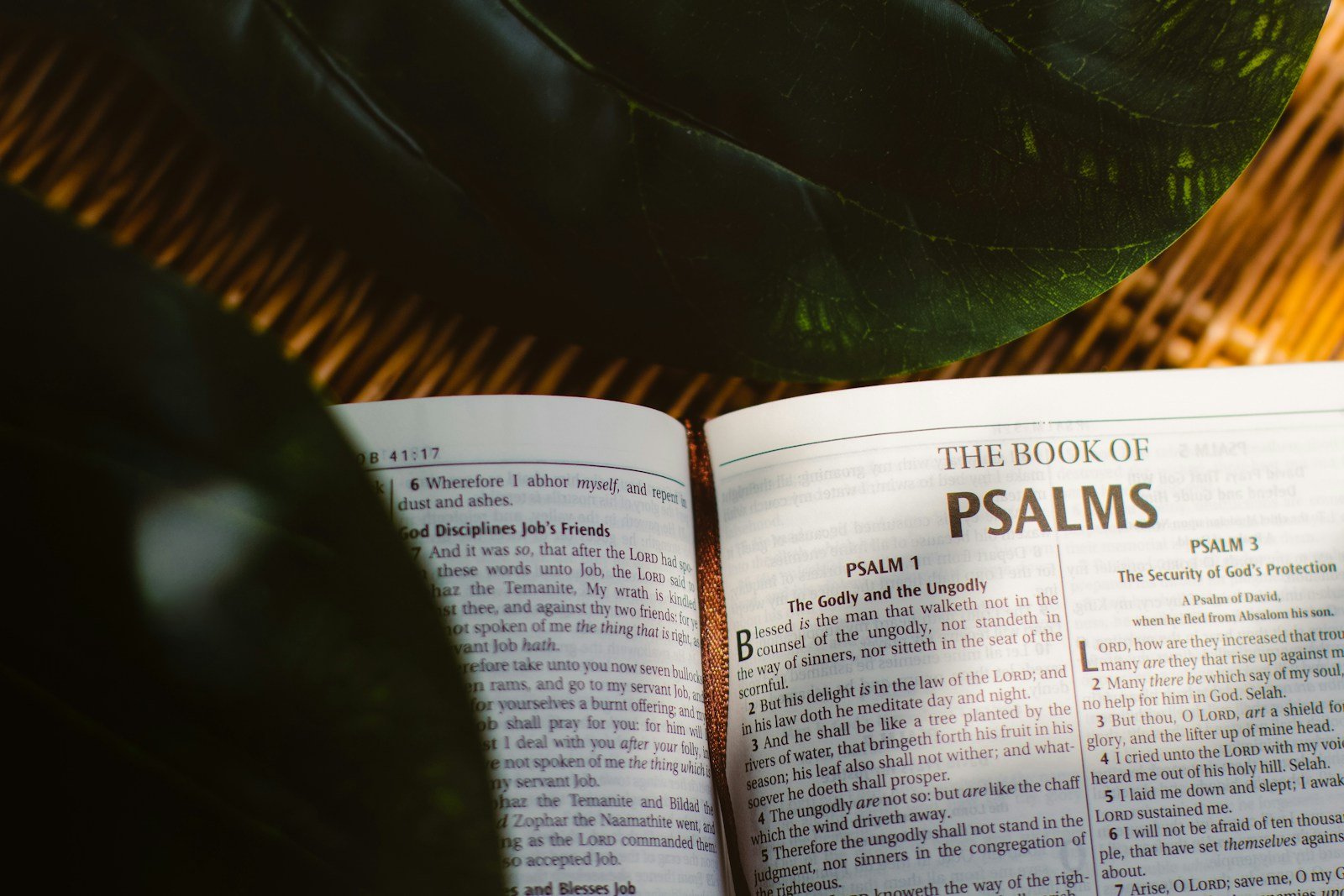 Imprecatory Psalms